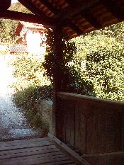 1583  PERUCATTI  2006.JPG
